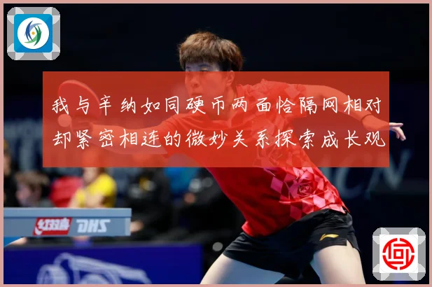 我与辛纳如同硬币两面恰隔网相对却紧密相连的微妙关系探索成长观察-深度解析