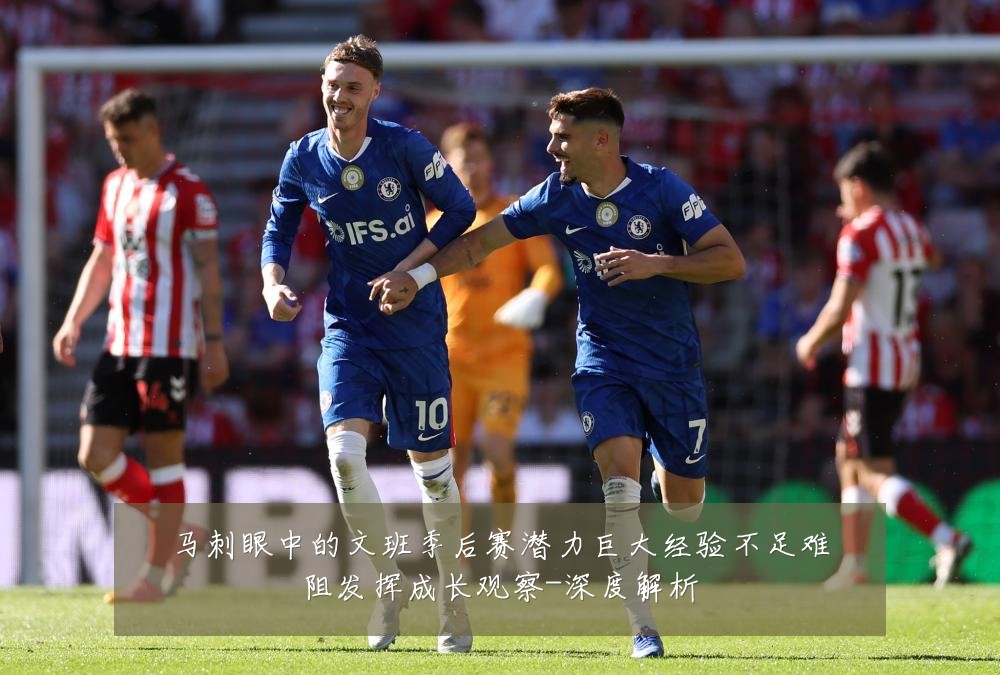 马刺眼中的文班季后赛潜力巨大经验不足难阻发挥成长观察-深度解析